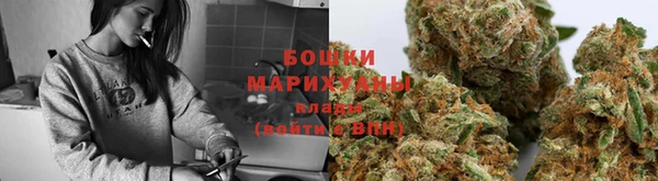 спиды Арсеньев